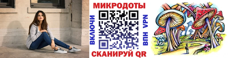 купить закладку  Светлоград  площадка Telegram  Псилоцибиновые грибы мицелий 